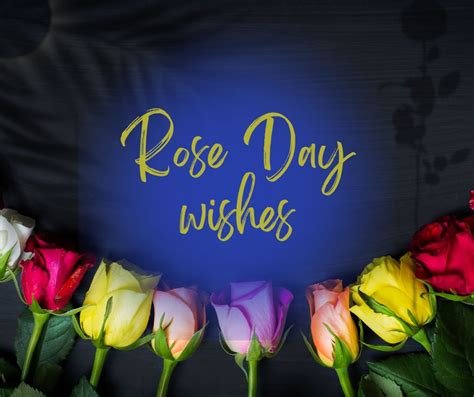 Rose Day Wishes 2023 - Blogging Tips