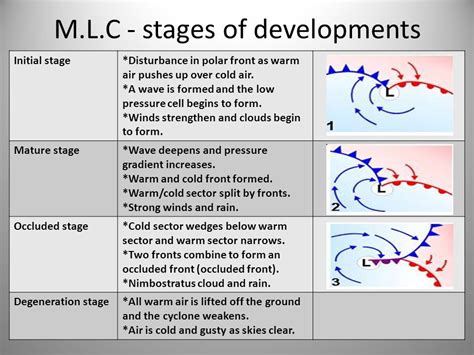 Temperate Cyclones