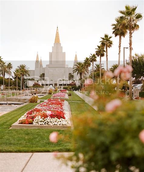 Christine Olson Photography: [ Oakland, CA LDS Temple ]