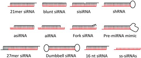 The benefits and limitations of synthetic siRNA application. The most ...