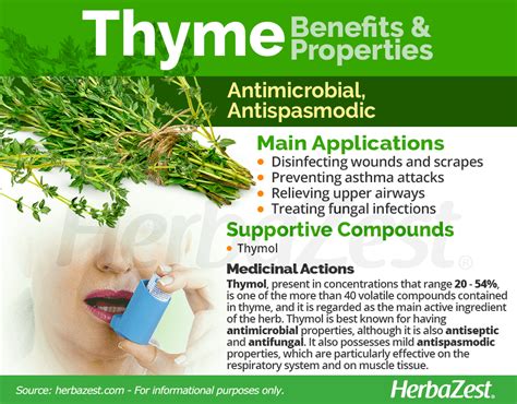 Thyme Herb Benefits