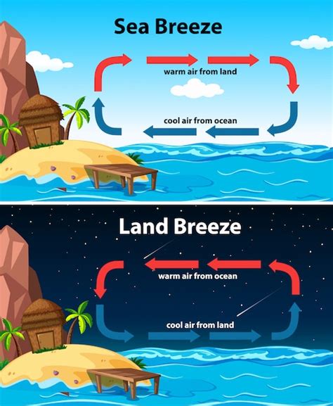 Free Vector | Diagram showing sea and land breeze