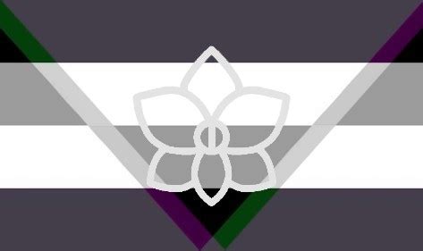 Personalized Pride Flags! — Orchidromantic, Aegosexual, and ...