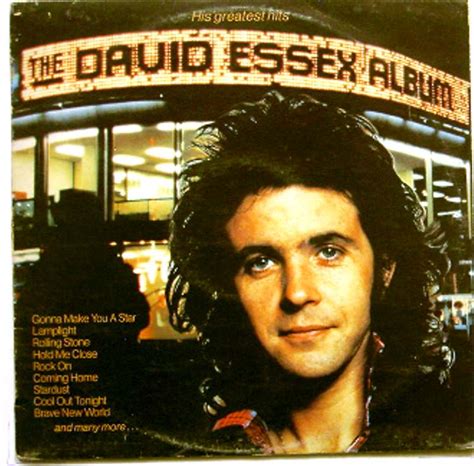 The David Essex Album: His Greatest Hits | Just for the Record