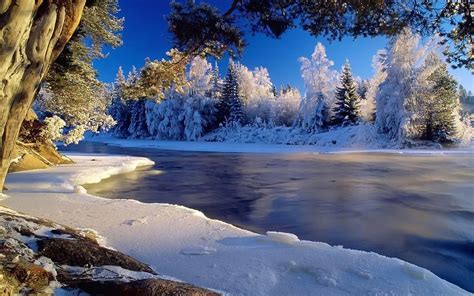 Bing Winter Wallpapers - Top Free Bing Winter Backgrounds - WallpaperAccess