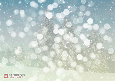 Bokeh Snowfall ~ Backdrops Canada