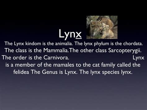 Lynx | PPT