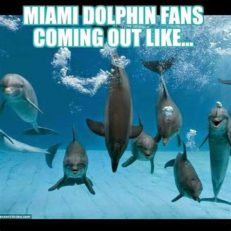 22 Meme Internet: Miami dolphin fans coming out like - #Dolphins # ...