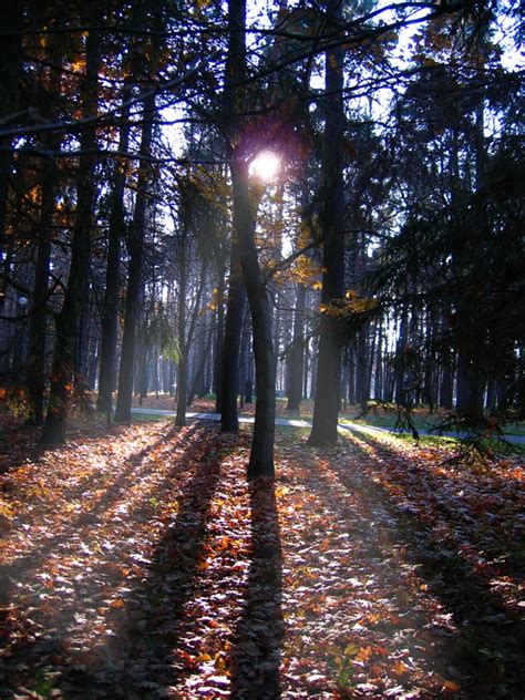 Amazing nature of Belarus » Land Of Ancestors - Belarus