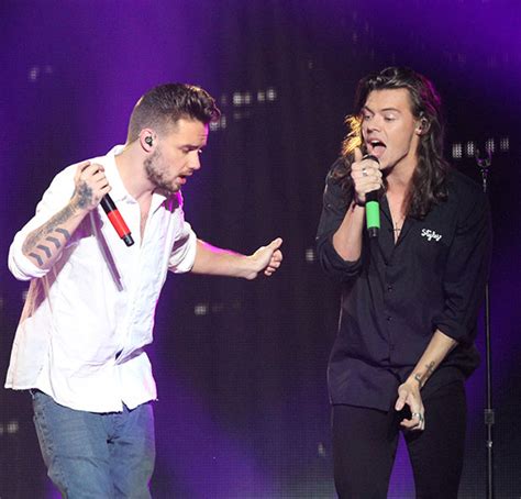 Liam Payne & Harry Styles Have Phone Call & Tease 1D Reunion ...