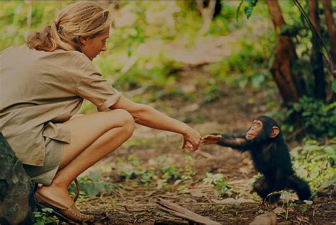 'Jane' Goodall Documentary Is A Love Story About A Woman And Her Work | The ARTery