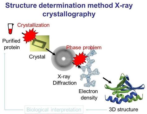 X Ray Crystallography Protein Structure