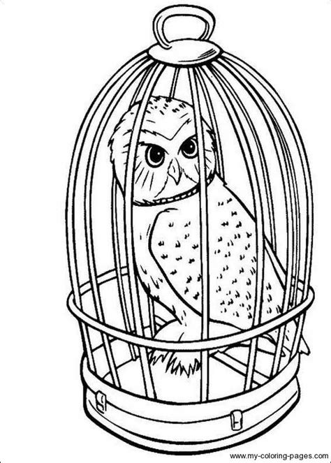 Hedwig - harry potter coloring pages | Harry potter colors, Harry potter coloring pages, Harry ...