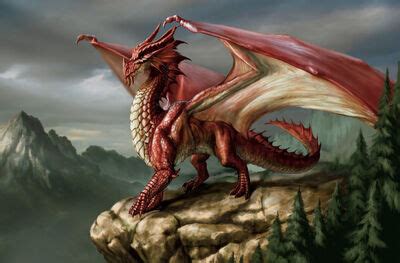 European dragons | Dragonwisdom Wiki | Fandom