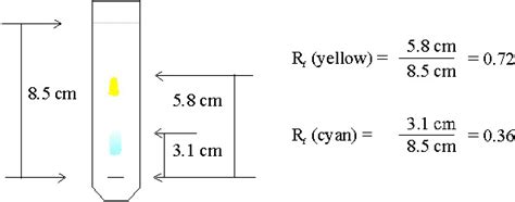 Chromatography Lab - A-C MetzgarScience