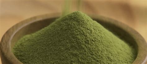 Why You Should Consider A Greens Formula In Your Daily Routine – myBrainCo