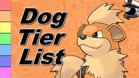 Pokémon Dog Tier List - YouTube