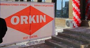 Orkin Termite Control - Inspection, Cost & Reviews • Pestnile