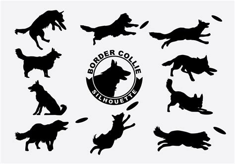 Border Collie Silhouette Vector 132793 Vector Art at Vecteezy