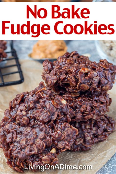 No Bake Fudge Cookies Recipe - Easy Recipe That Kids Will Love!