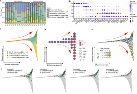 Relationship among CD8 + T cell clusters based on both transcriptome... | Download Scientific ...