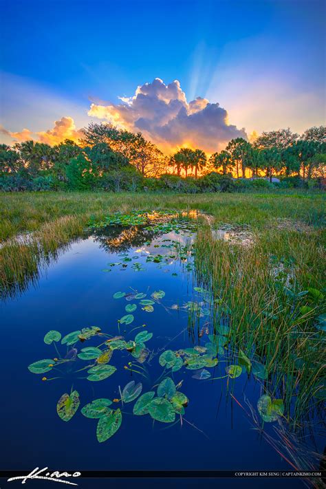 Wetlands at Delray Beach Florida Sunrise