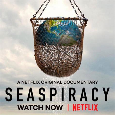 6 Lessons We Can Learn From the Netflix Documentary ‘Seaspiracy’ - Blog ...