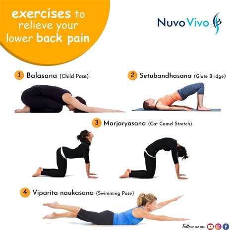 EXERCISES TO RELIEVE YOUR BACK PAIN | Lower back pain exercises, Back pain, Back stretches for pain