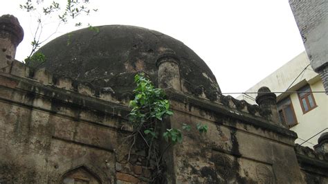 Chasing History: unknown monument in munirka village