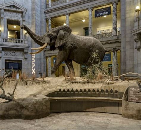 A virtual tour of some of the Smithsonian National Museum of Natural History. | Virtual field ...