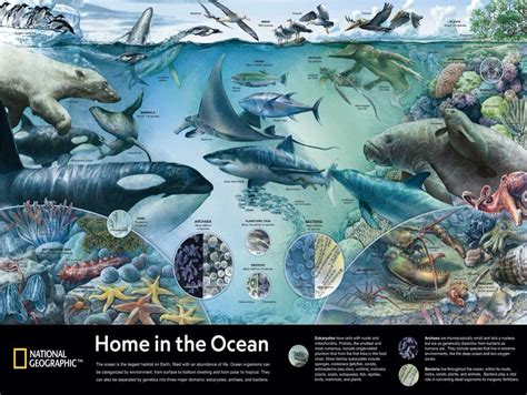 Home in the Ocean, 1500 Pieces, New York Puzzle Co | Puzzle Warehouse