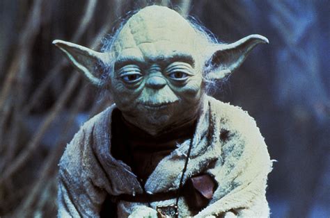 What Species Is Yoda From Star Wars? | POPSUGAR Entertainment