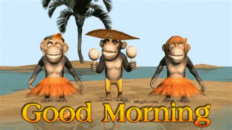 Hilarious Good Morning GIF Funny Images HD Downloads 2024 - Mk GIFs.com