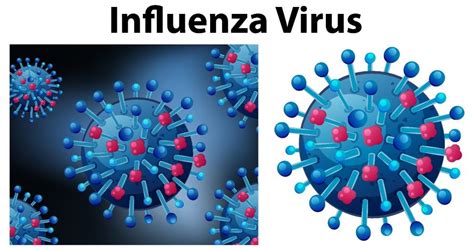 COVID19 Vs Influenza - With knowledge by Corporate Care