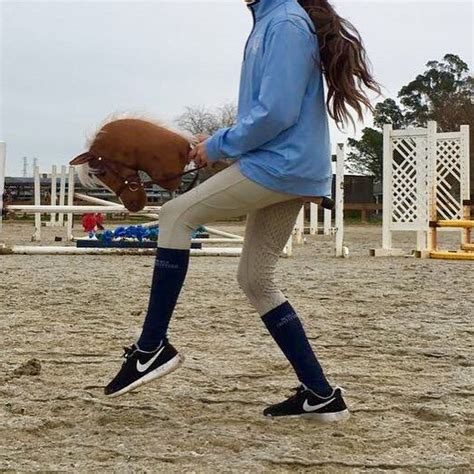 Great action shot of our chestnut hobby-horsing horse in the jumping ...