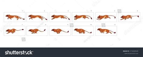 Lion Walk Cycle Animation Lion Jump: immagine vettoriale stock (royalty free) 1714030549 ...