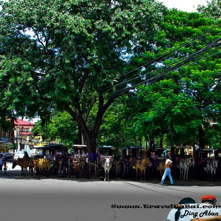 Ilocos Sur: Vigan City the Heritage Village