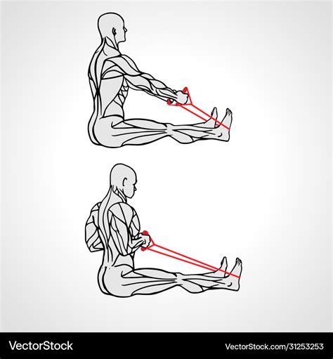 Resistance band upper back row exercise Royalty Free Vector