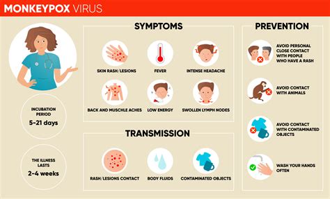 Monkeypox virus symptoms, transmission and prevention infographic. Poster for social media ...