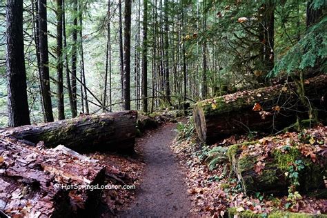 Cougar Hot Springs: A Hot Spring Oasis in the Oregon's Forest - Hot ...