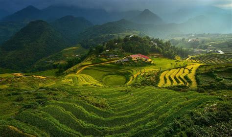 landscape, Vietnam, Terraced Field Wallpapers HD / Desktop and Mobile Backgrounds