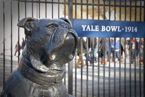 Where Is The Yale Bulldog Statue