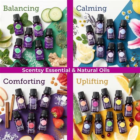 Scentsy Oils 2022 | ubicaciondepersonas.cdmx.gob.mx