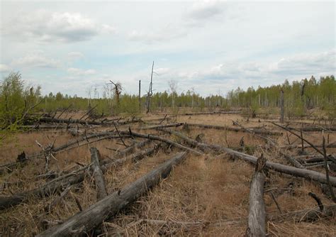 Chernobyl at Thirty: A Special Edition Environment and Health Roundtable - Edge Effects