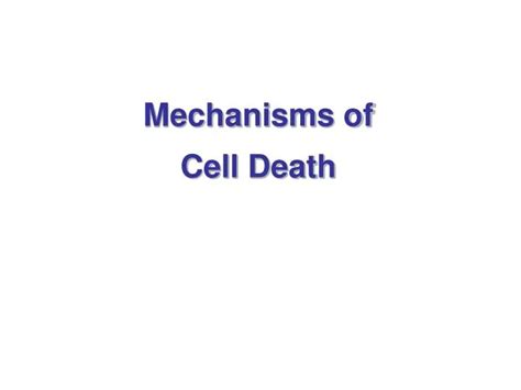 PPT - Mechanisms of Cell Death PowerPoint Presentation, free download - ID:1172794