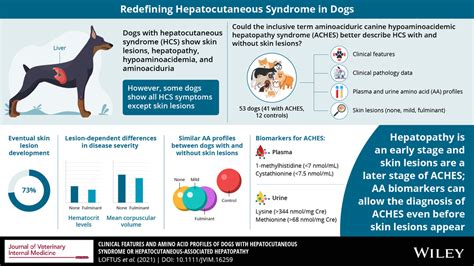 HCS/ACHES INFO - LOFTUS LAB