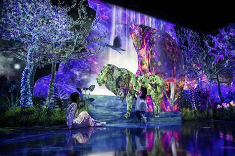 New Permanent Museum “teamLab Forest” in Fukuoka has a seasonal ...