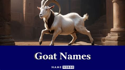 Goat Names: 464+ Funny & Cute Names For Your Naughty Pet