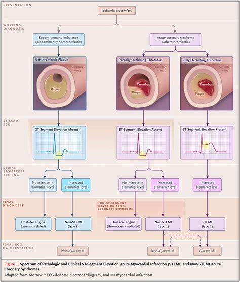 Click to enlarge | Acute medicine, Medical knowledge, Medical therapy