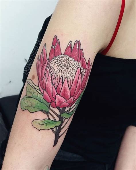 Protea for Tilly. Her design and her 4th tattoo from me and shes always ...